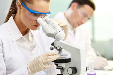 Similar image 1079200