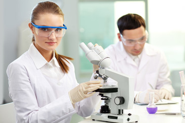 Similar image 1079204