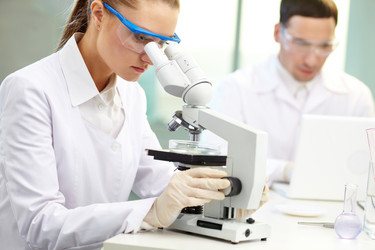 Similar image 1079205