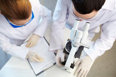 Similar image 1079211