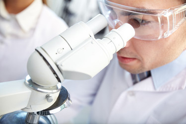 Similar image 1079210