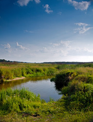 Similar image 1079231