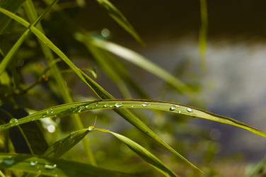 Similar image 1079273