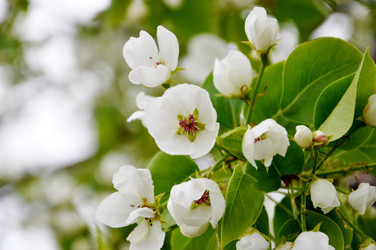 Similar image 1079374