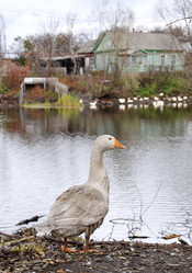 Similar image 1079373