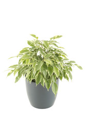 Similar image 1079391