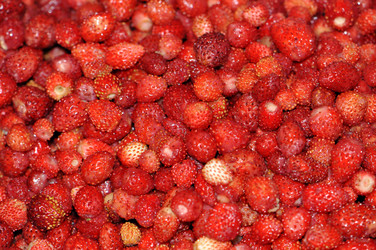 Similar image 1079400