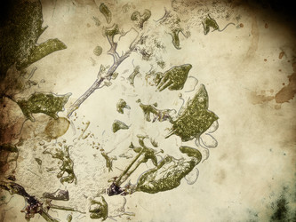 Similar image 1079406