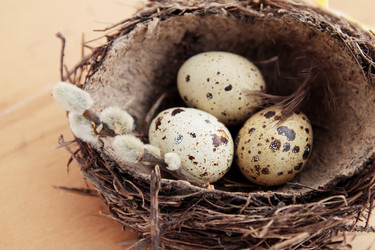 Similar image 1079420