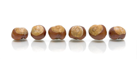 Similar image 1079455