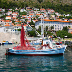 Similar image 1079457