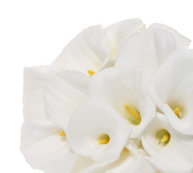 Similar image 1079472