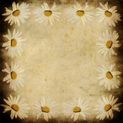 Similar image 1079486