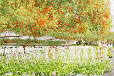 Similar image 1079496