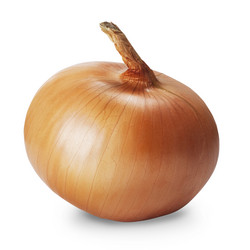 Similar image 1079505