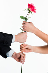 Similar image 1079515