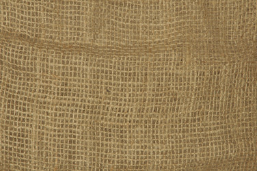 Similar image 1079552