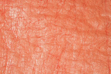 Similar image 1079551