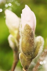 Similar image 1079563