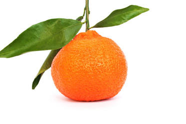 Similar image 1079614