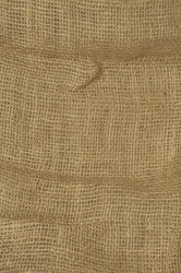 Similar image 1079648