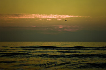 Similar image 1079710