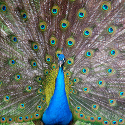 Similar image 1079722