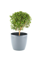 Similar image 1079723