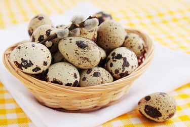 Similar image 1079733