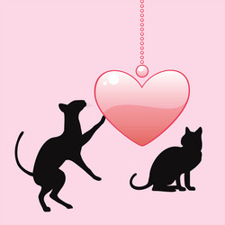 Similar image 1079750