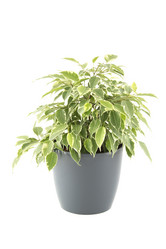 Similar image 1079815