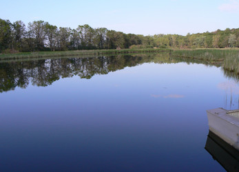 Similar image 1079850