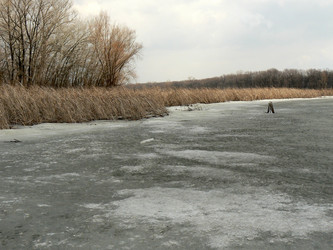 Similar image 1079851