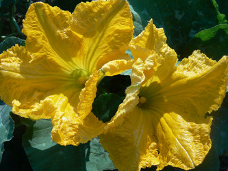 Similar image 1079854