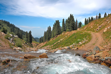 Similar image 1079856