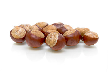 Similar image 1079886