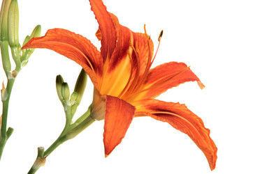 Similar image 1079895