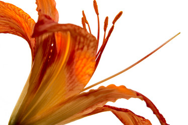 Similar image 1079897