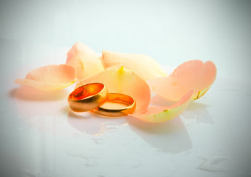 Similar image 1079899