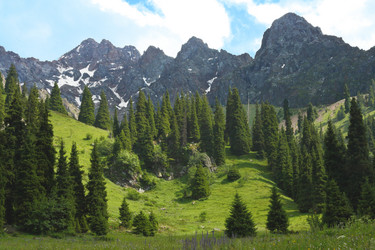 Similar image 1079903