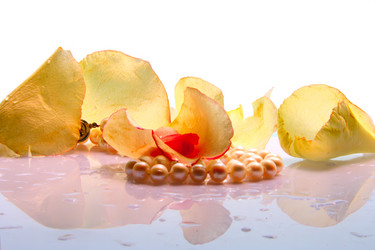 Similar image 1079900