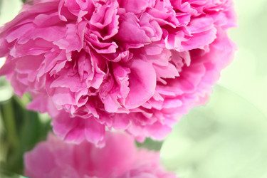 Similar image 1079905