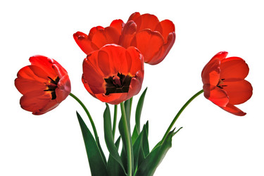 Similar image 1079907