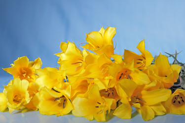 Similar image 1079909