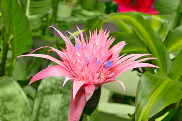 Similar image 1079912