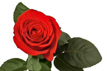 Similar image 1079922