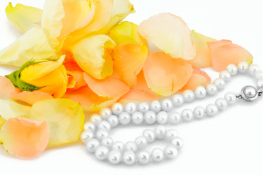 Similar image 1079926