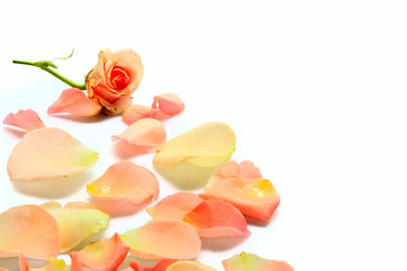 Similar image 1079928