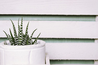 Similar image 1079952