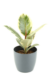 Similar image 1079954